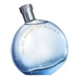 Hermes Eau Des Merveilles Bleue - Интернет-магазин. Kalinka-parfum.ru