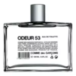 Comme des Garcons Odeur 53 - Интернет-магазин. Kalinka-parfum.ru