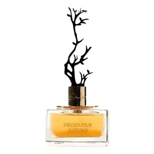 Aurora Scents Deciduous Autumn - Интернет-магазин. Kalinka-parfum.ru