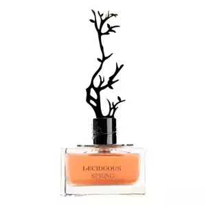 Aurora Scents Deciduous Spring - Интернет-магазин. Kalinka-parfum.ru