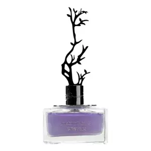 Aurora Scents Deciduous Winter - Интернет-магазин. Kalinka-parfum.ru