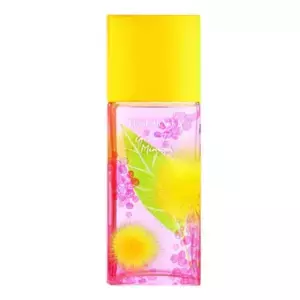 Elizabeth Arden  Green Tea Mimosa - Интернет-магазин. Kalinka-parfum.ru