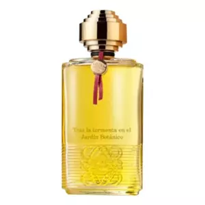 Loewe Tras La Tormenta En El Jardin Botanico - Интернет-магазин. Kalinka-parfum.ru