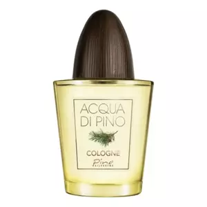 Pino Silvestre Acqua Di Pino Cologne - Интернет-магазин. Kalinka-parfum.ru