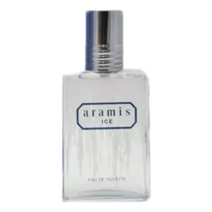 Aramis  Ice - Интернет-магазин. Kalinka-parfum.ru