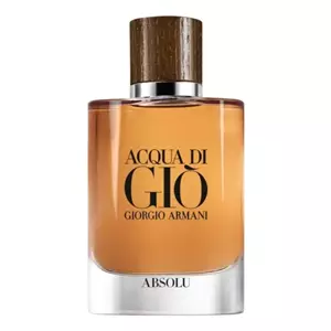 Giorgio Armani Acqua Di Gio Absolu - Интернет-магазин. Kalinka-parfum.ru