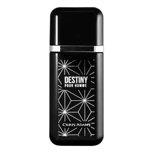 Chris Adams  Destiny - Интернет-магазин. Kalinka-parfum.ru