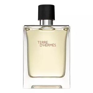 Hermes Terre D'Hermes Pour Homme - Интернет-магазин. Kalinka-parfum.ru