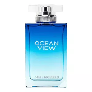 Karl Lagerfeld Ocean View Pour Homme - Интернет-магазин. Kalinka-parfum.ru