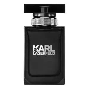 Karl Lagerfeld Pour Homme - Интернет-магазин. Kalinka-parfum.ru