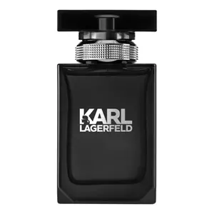 Karl Lagerfeld Pour Homme - Интернет-магазин. Kalinka-parfum.ru