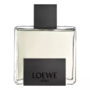 Loewe Solo Mercurio - Интернет-магазин. Kalinka-parfum.ru