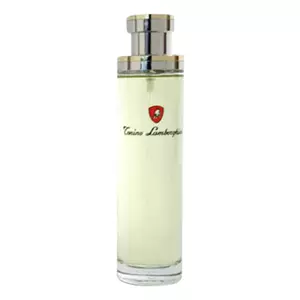 Tonino Lamborghini Pour Homme - Интернет-магазин. Kalinka-parfum.ru