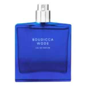 Escentric Molecules Boudicca Wode - Интернет-магазин. Kalinka-parfum.ru