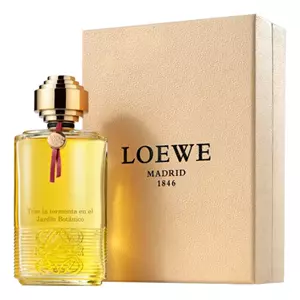 Loewe Tras La Tormenta En El Jardin Botanico - Интернет-магазин. Kalinka-parfum.ru