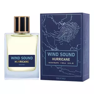 Brocard Wind Sound Hurricane - Интернет-магазин. Kalinka-parfum.ru