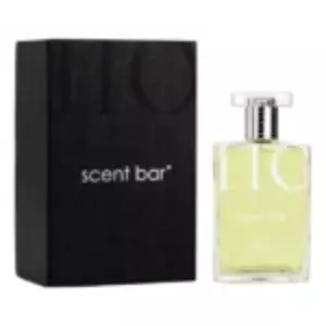 Scent Bar  110 - Интернет-магазин. Kalinka-parfum.ru